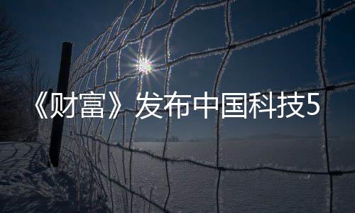 华为科技中国选 小米k入财富发布强缺席