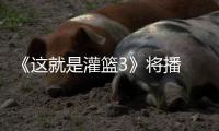 《这就是灌篮3》将播 金子涵徐艺洋热辣开场