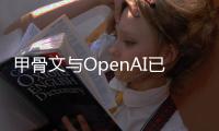甲骨文与OpenAI已取消美国得州数据中心扩建计划