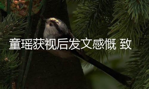 不言获视后发慨 演员致敬童瑶文感所有的女放弃