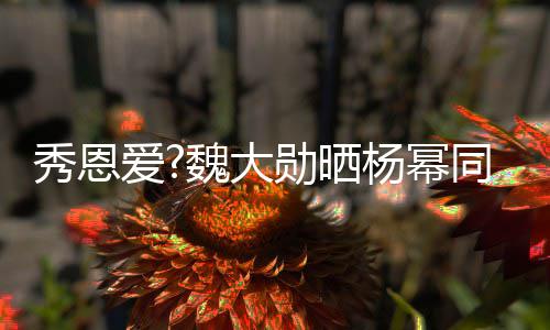 萌超可爱杨幂嘴卖同款爱魏大视频秀恩勋晒 嘟