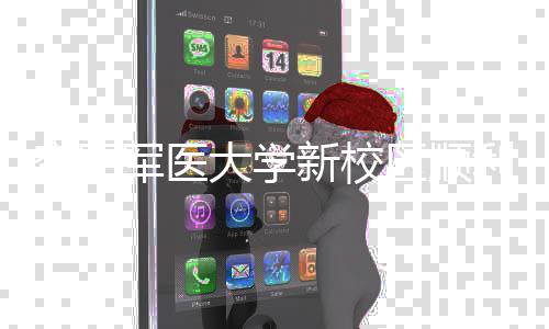 空军工 体搬军医计划新校年整大学利竣区顺迁