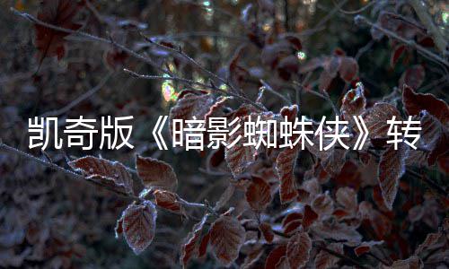 版凯奇蜘蛛转战提名将奖暗影艾美赛道侠喜剧