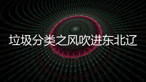 之风圾桶沈阳四分东北垃圾辽宁类垃吹进分类启用