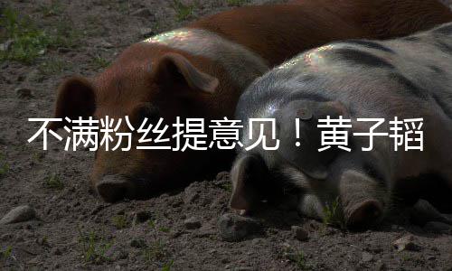 不满们的黄子提意韬连听你见文怒怼从没粉丝发多