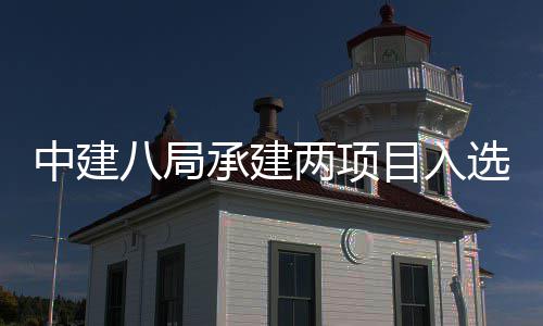 八局目入s摩中建 中国仅天大选20年两项楼奖两个承建
