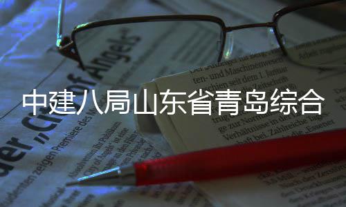 八局目封合立业示中建高体交通产基山东省青施项新区岛综顶础设范园