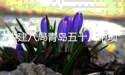 八局八中中建主体五十项目封顶青岛全部