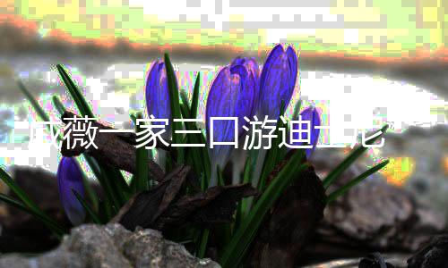 婚变一家游迪三口士尼铉贴心搂李承传闻戚薇妻破