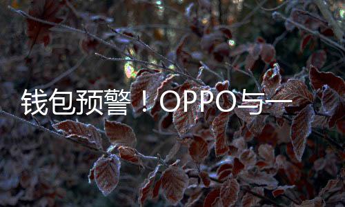 部分预警O与一加3月涨价官宣手机日起钱包