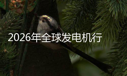 名业国规模及排市场市场行业先企年全内外电机领份额球发